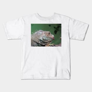 Big brother is watching Kids T-Shirt